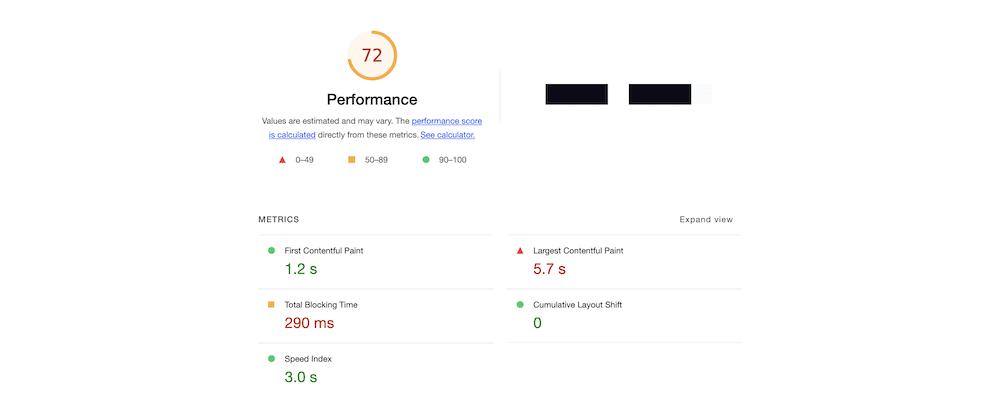 The Performance results for a Google Lighthouse audit