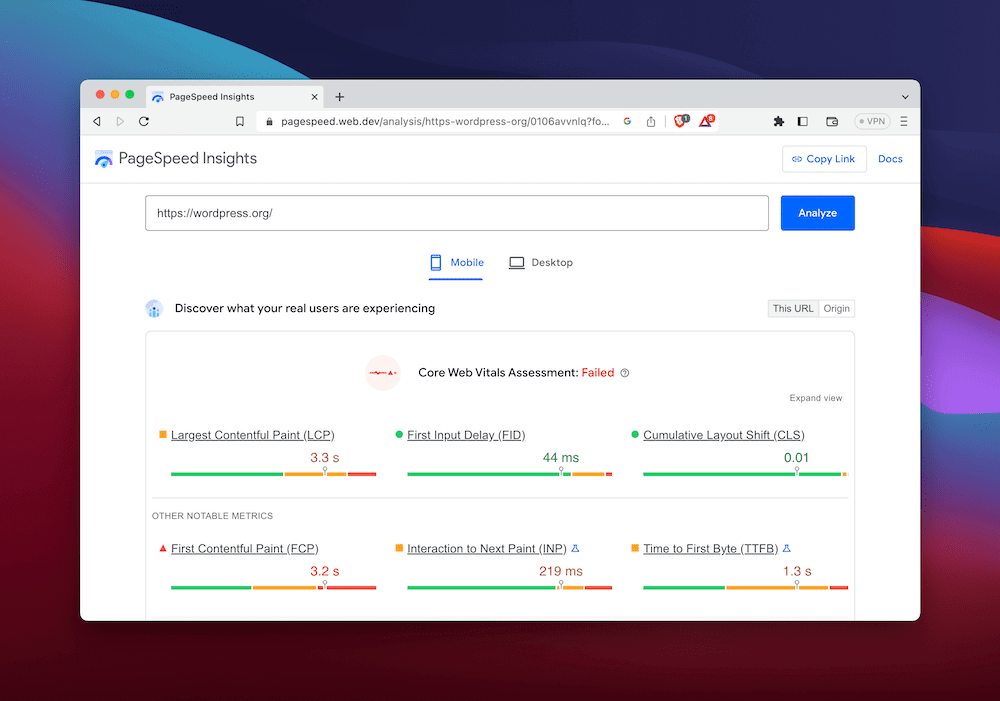 A Google Lighthouse audit report from PageSpeed Insights